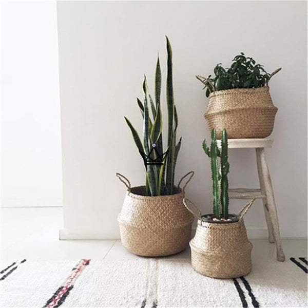 Paniers en osier - OZER - Atelier Atypique