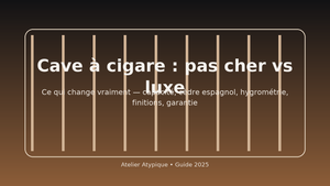 Cave à cigare : pas cher ou luxe ?
