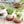 EGGLING - L'oeuf plante X3 -  - Plante - Cadeau, Noël, Anniversaire, Original - Atelier Atypique
