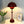 Lampe à poser - Flowerpot Chromatique by A.A. -  - Lampe Déco - Cadeau, Noël, Anniversaire, Original, Fête des pères, fête des mères - Atelier Atypique