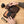 Organiseur de Poche en Cuir - Stylos & carnets personnalisable -  VOYAGEUR Plume
