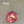 47740681584963|47740681617731|47740681650499|47740681683267|47740681716035