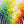 Peinture à l'huile sur toile XXL - Essence de forêt -  - toile - Cadeau, Noël, Anniversaire, Original - Atelier Atypique