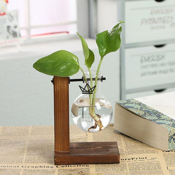 Terrarium en ampoule - EKY - Atelier Atypique