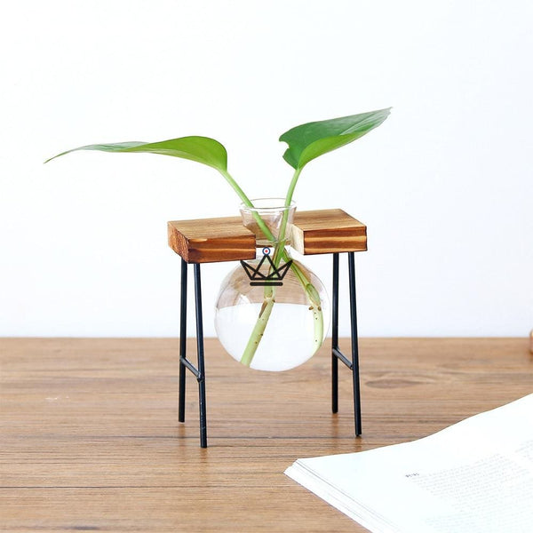 Terrarium en ampoule - ETABLY - Atelier Atypique