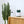 Lampe Piège Anti-Moustiques - CACTUS - Atelier Atypique